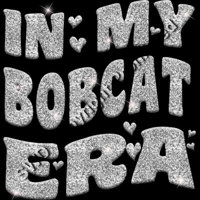 GLT93 SILVER GLITTER Thumbnail