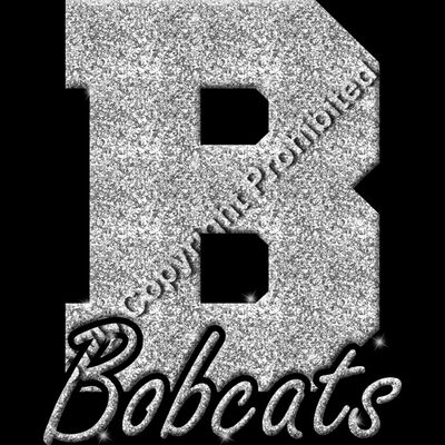 GLT61 SILVER GLITTER Thumbnail